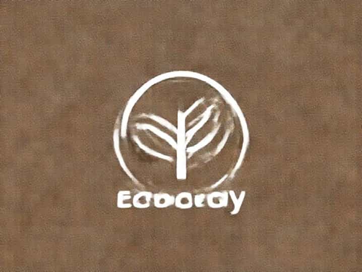 Holism In Ecology Upsc