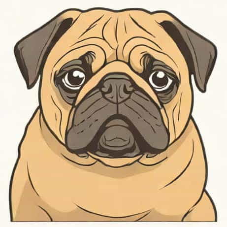 How Agonizing Is It To Be A Pug