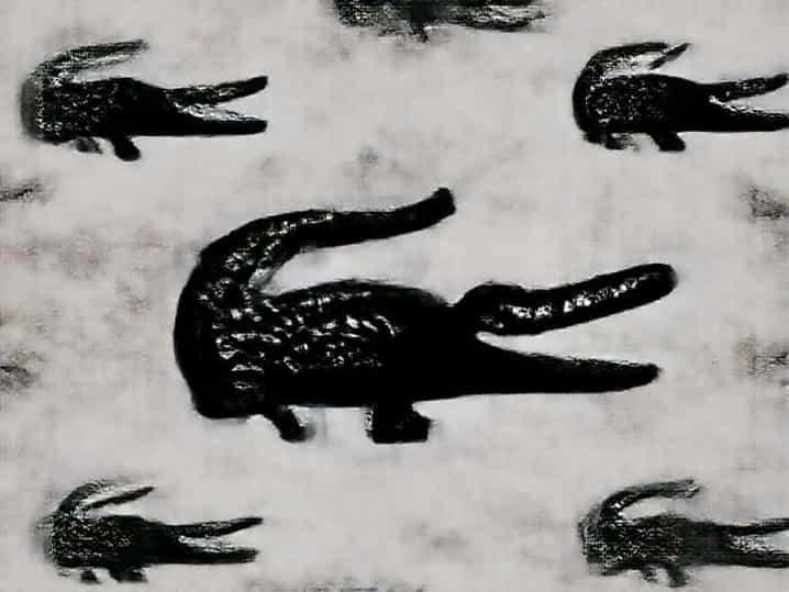 Is Crocodile A Brand