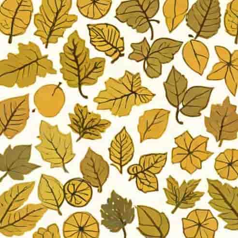 Loose Leaf Sweet Aromatic