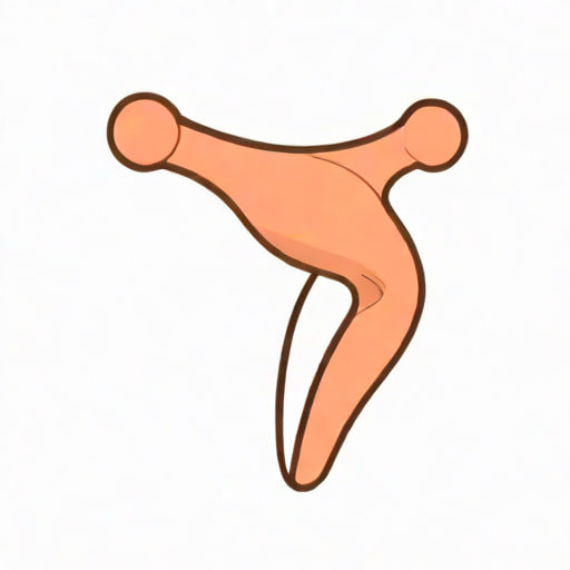 Normal Anatomical Position Of Uterus