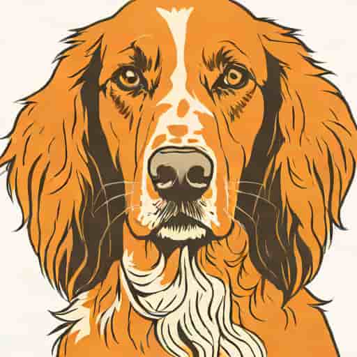 Orange Belton Coated English Setter