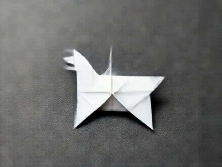 Origami For The Connoisseur
