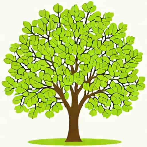 Ornamental Pear Tree Pyrus Chanticleer