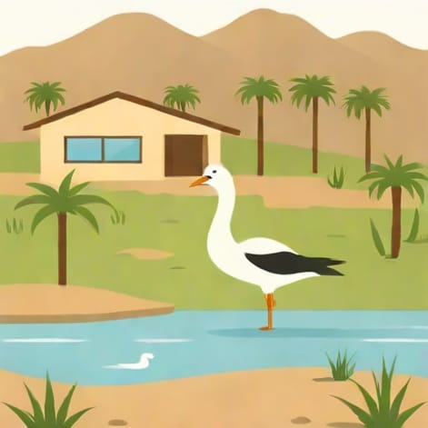 Rancho Mirage Quick Quack