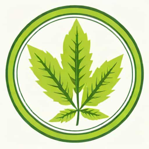 Refractive Index Of Canada Balsam
