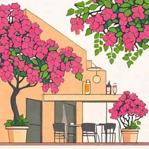 The Bougainvillea Hyderabad Menu