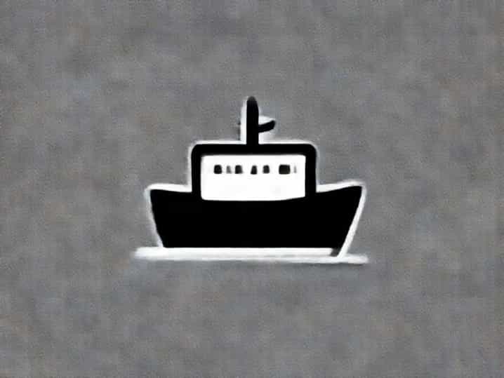 The Sewol Ferry Tragedy