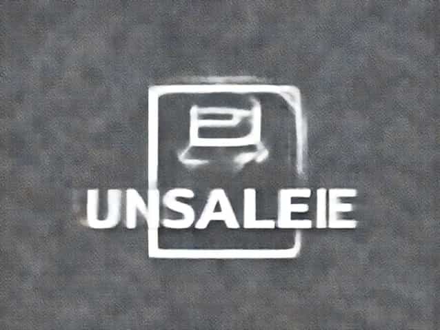 Unsaleable In A Sentence