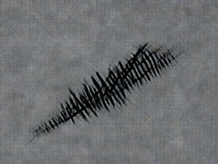 What Does Seismology Mean