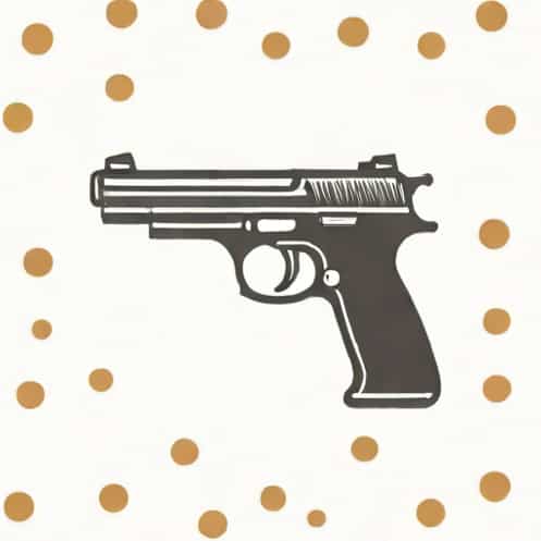 What Is A Pellet Gun