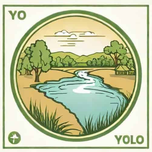 Yolo County Record Mitigation