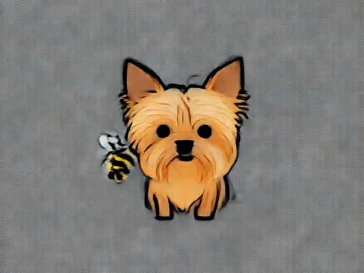 Yorkie Stung By Bee