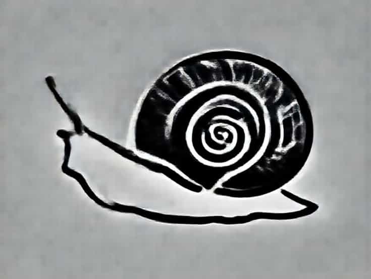 Black Snail Repair Cream
