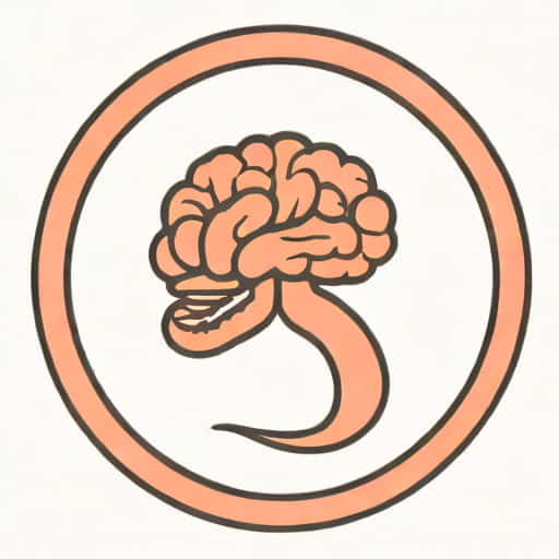 Comment On The Embryological Exercise