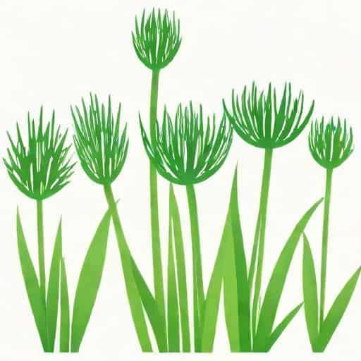 Finely Snipped Chives