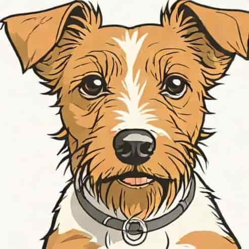 Jack Russell Yorkie Mix
