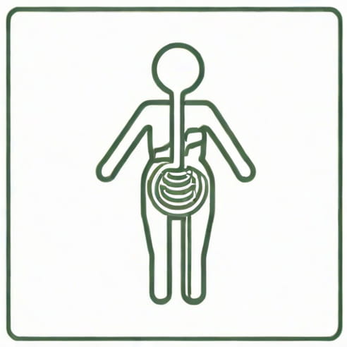 Kidney Purpose In Body