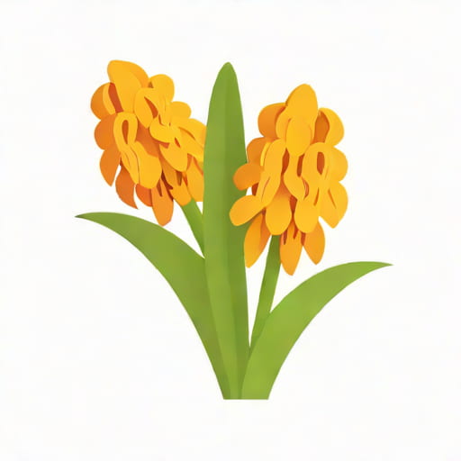 Orange Hyacinth Meaning