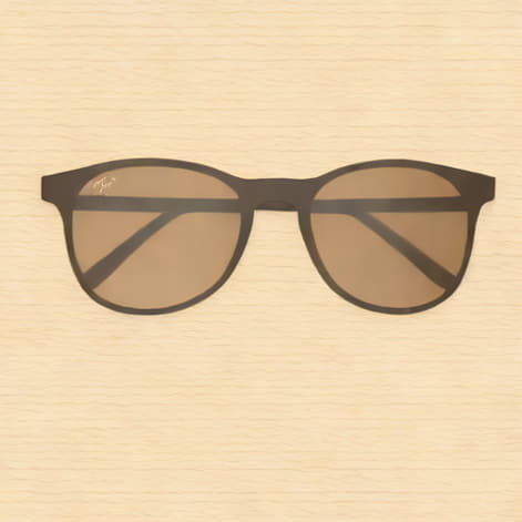 Ray Ban Turtledove Sunglasses