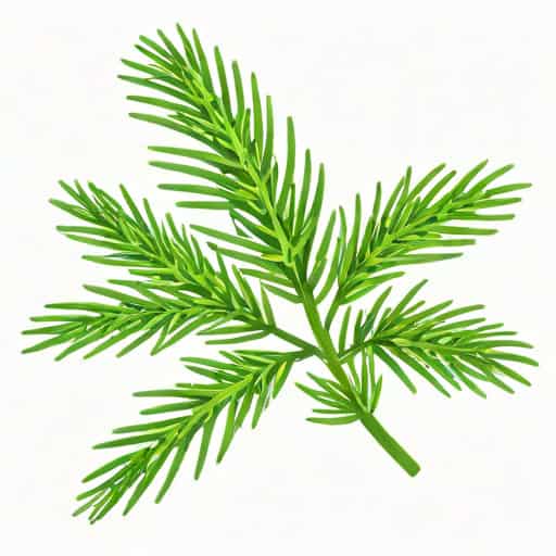 Rosemary Prostrate Trailing Blue