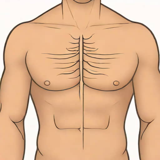 Serratus Anterior Origin And Insertion