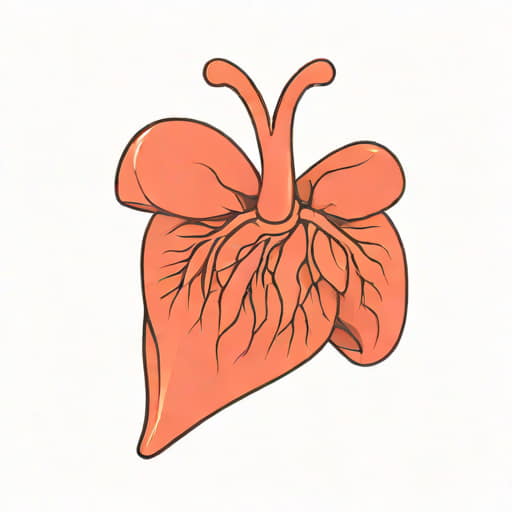 Stage 4 Cirrhosis Of The Liver
