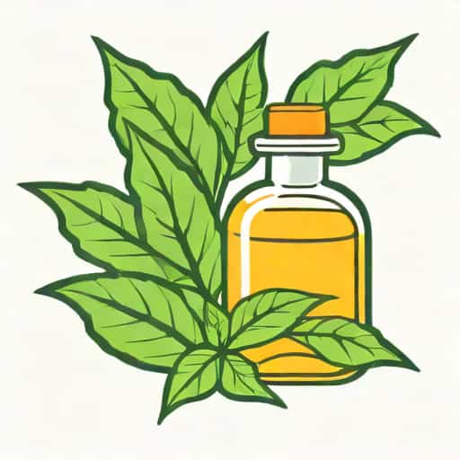 Use Of Oil Of Wintergreen