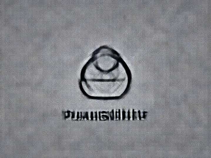 What Does Plausibility Mean