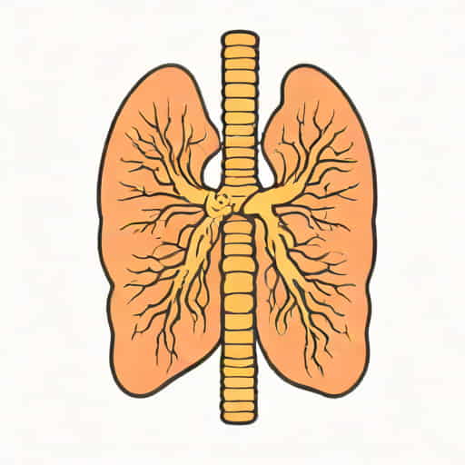 What Is Bronchus And Bronchi