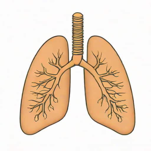 Which Feature Is Common To Gills Lungs And Tracheae