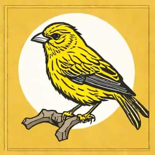 Yellowhammer Cards And Gaming